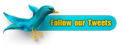 Our Twitter link